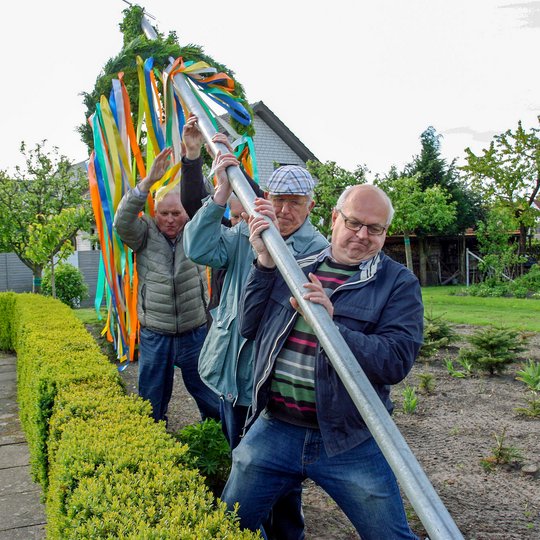 Mit vereinten Kräften stellen die Kolpinger ihren Maibaum auf. Foto: Stefan Buchholz